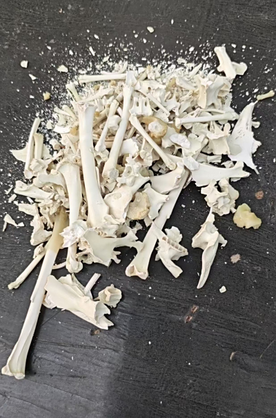 宠物水化过程